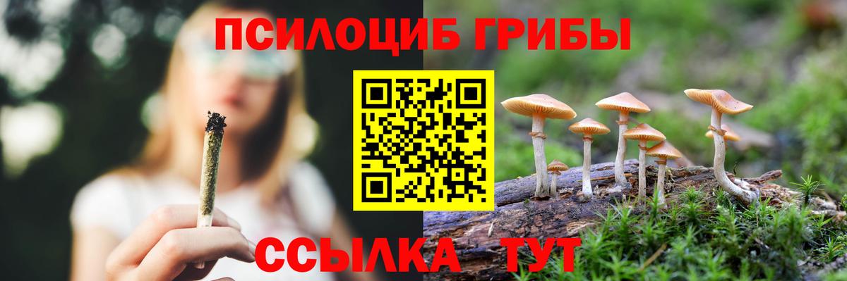 Галлюциногенные грибы прущие грибы  Вход с VPN  Узловая 